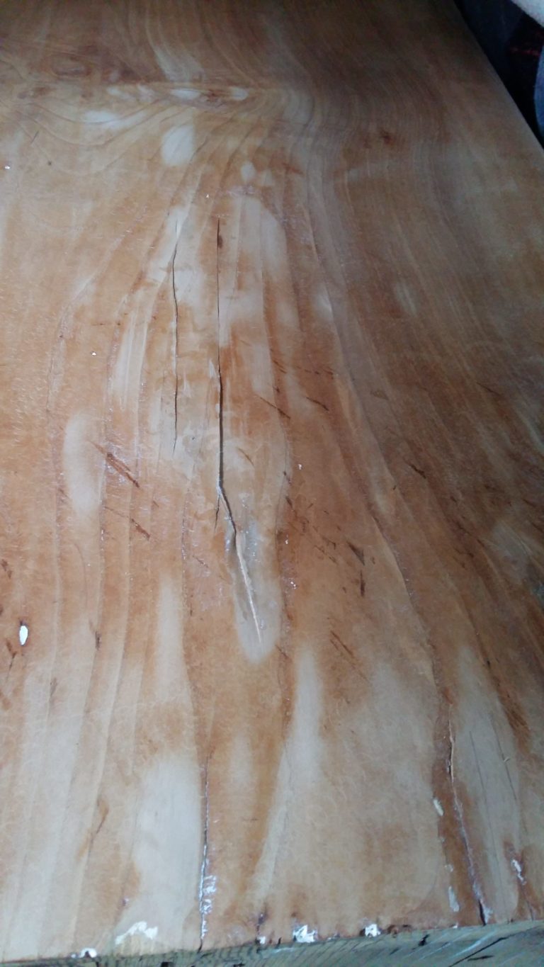 Esthers Liebe zu alten Schätzen | Wasserheimat