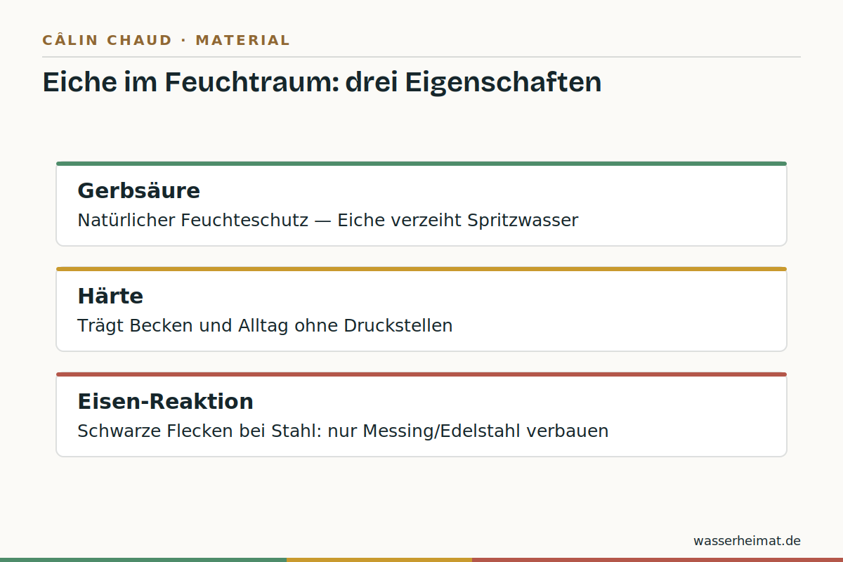 Eiche im Feuchtraum Infografik: Eigenschaften von Eiche im Feuchtraum – Gerbsäure, Härte, Eisenreaktion