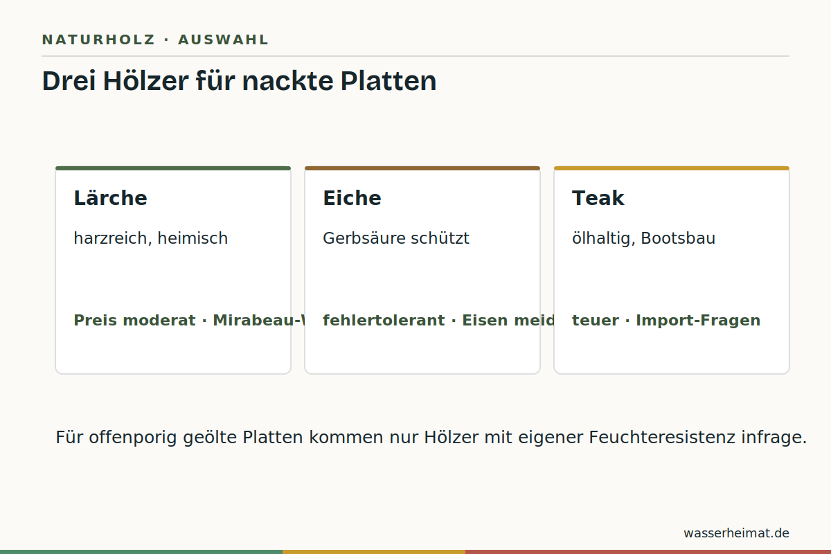 Infografik: Holzarten für Naturholz-Waschtische – Lärche, Eiche, Teak im Vergleich