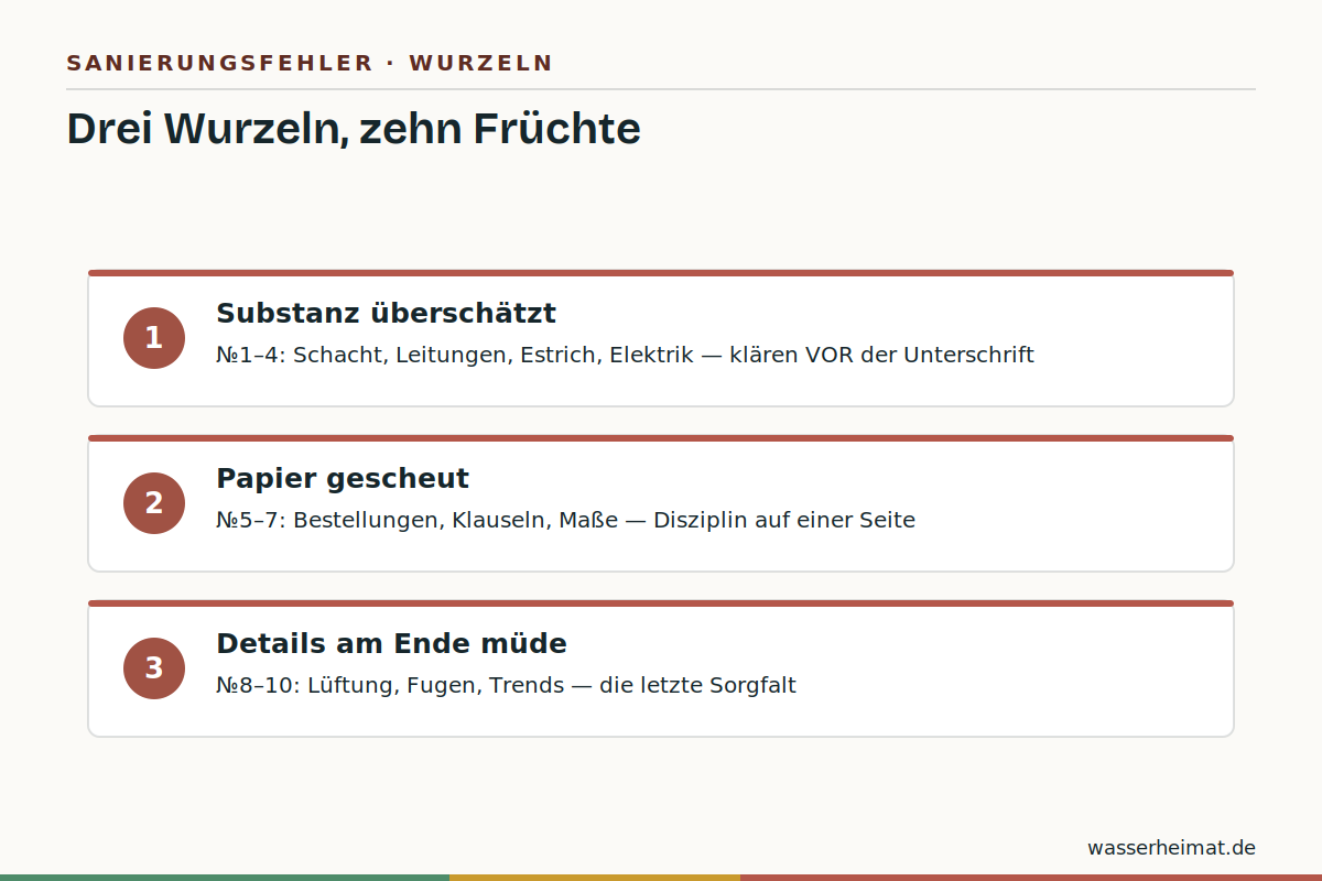 Drei Wurzeln, zehn Früchte Infografik: drei Wurzeln der Sanierungsfehler – Reihenfolge, Papier, Substanz